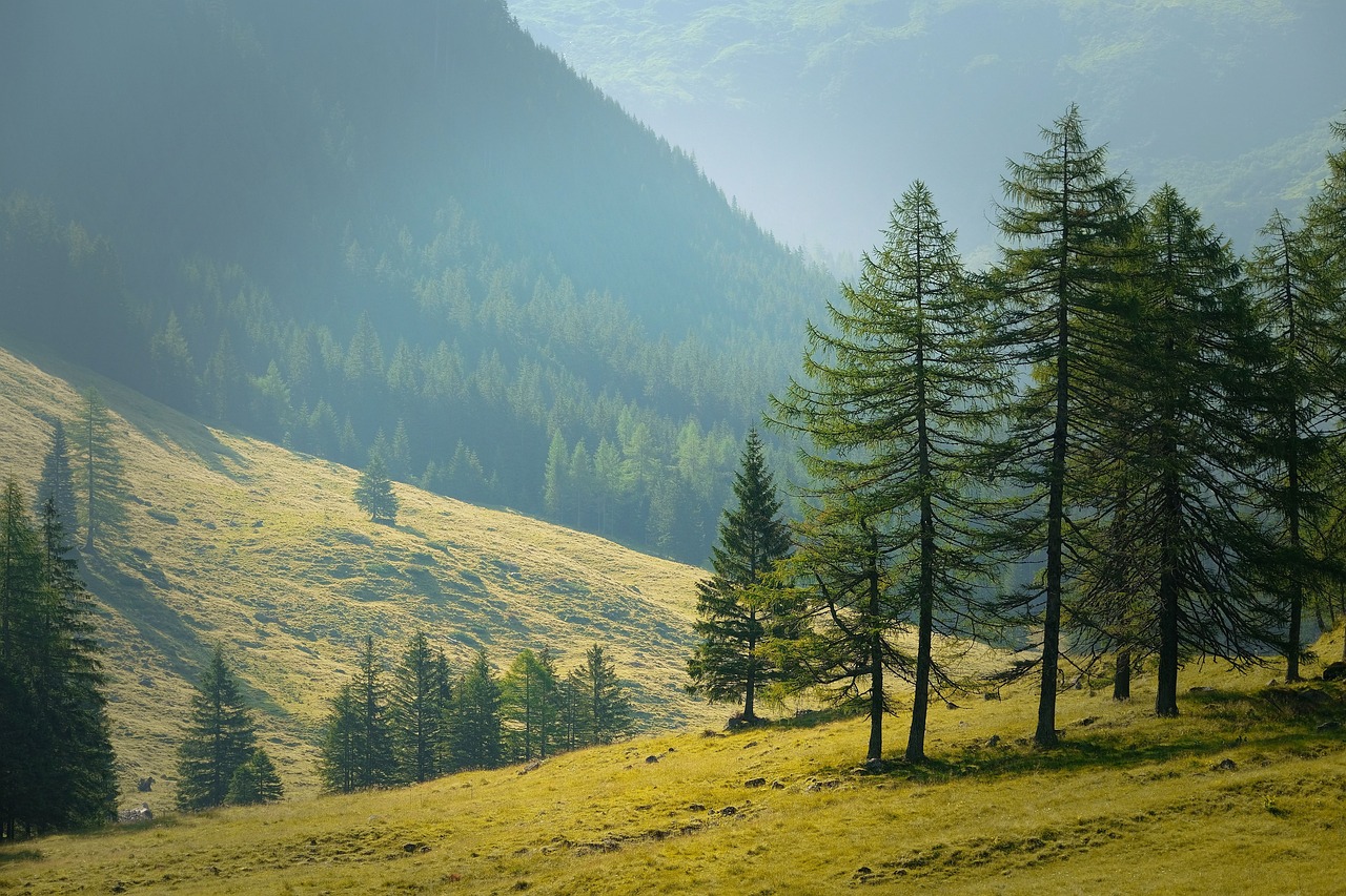 Discover the Beauty of Outdoor Travel Adventures Discover the Beauty of Outdoor Travel Adventures